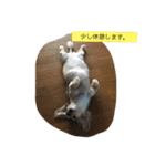 momosn picts（個別スタンプ：6）