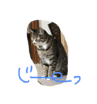 猫の日曜日（個別スタンプ：2）