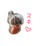 プリンの日常（個別スタンプ：5）