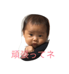 りゅぅぽん（個別スタンプ：1）