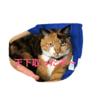 my nekoes（個別スタンプ：4）