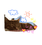 Private life of a cat（個別スタンプ：3）