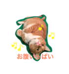 Private life of a cat（個別スタンプ：6）