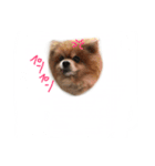 WiNGFriend（個別スタンプ：3）