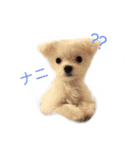 WiNGFriend（個別スタンプ：4）