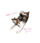 WiNGFriend（個別スタンプ：6）