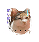 WiNGFriend（個別スタンプ：9）