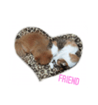 WiNGFriend（個別スタンプ：14）