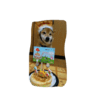 柴がいっぱい（個別スタンプ：16）