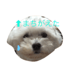 使えるハッピーゆきまる（個別スタンプ：4）