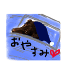 ピノ＆ジジ（個別スタンプ：1）