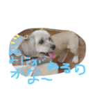 Uchi no chibi-san（個別スタンプ：7）