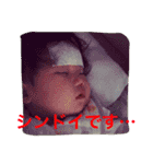 我が家のチビちゃんズ（個別スタンプ：1）