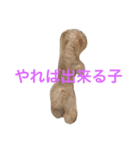 アラン君の日常（個別スタンプ：2）