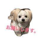 アラン君の日常（個別スタンプ：5）