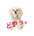 アラン君の日常（個別スタンプ：7）