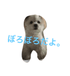 アラン君の日常（個別スタンプ：8）