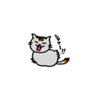 我が家の猫達を参考に作りました！（個別スタンプ：10）