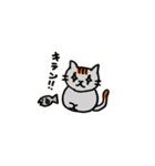 我が家の猫達を参考に作りました！（個別スタンプ：24）