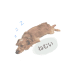 もしゃ犬れんたろう（個別スタンプ：4）