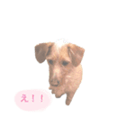 もしゃ犬れんたろう（個別スタンプ：18）