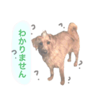 もしゃ犬れんたろう（個別スタンプ：20）