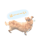 もしゃ犬れんたろう（個別スタンプ：21）