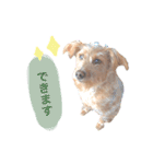もしゃ犬れんたろう（個別スタンプ：24）