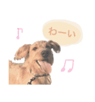 もしゃ犬れんたろう（個別スタンプ：25）