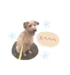 もしゃ犬れんたろう（個別スタンプ：29）
