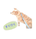もしゃ犬れんたろう（個別スタンプ：31）