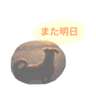 もしゃ犬れんたろう（個別スタンプ：32）