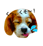 だいすきなショコラ（個別スタンプ：10）