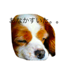 だいすきなショコラ（個別スタンプ：14）