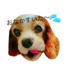 だいすきなショコラ（個別スタンプ：18）