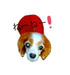 だいすきなショコラ（個別スタンプ：27）