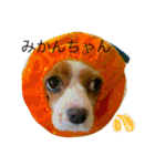 だいすきなショコラ（個別スタンプ：39）