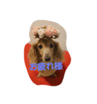 ともだちダックス（個別スタンプ：2）