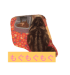 ライム君スタンプ（個別スタンプ：2）