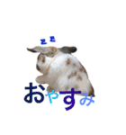 やまだ3（個別スタンプ：1）