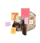 やまだ3（個別スタンプ：5）