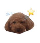 やまだ3（個別スタンプ：6）