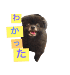 やまだ3（個別スタンプ：7）
