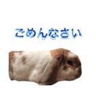 やまだ3（個別スタンプ：13）