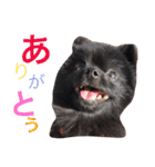 やまだ3（個別スタンプ：20）