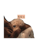 やまだ3（個別スタンプ：22）