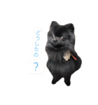 やまだ3（個別スタンプ：32）