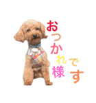 やまだ3（個別スタンプ：34）