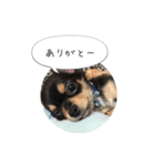 レオンさんの気持ち（個別スタンプ：2）