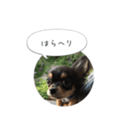 レオンさんの気持ち（個別スタンプ：5）